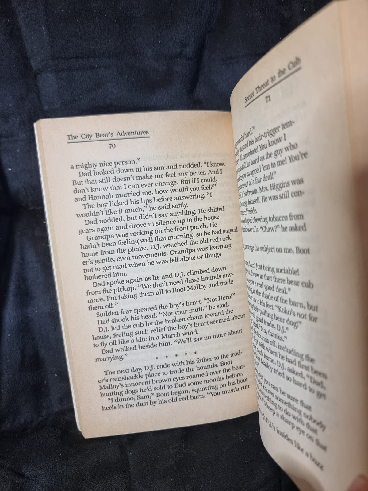 D.J. Dillon - The City Bear's Adventures