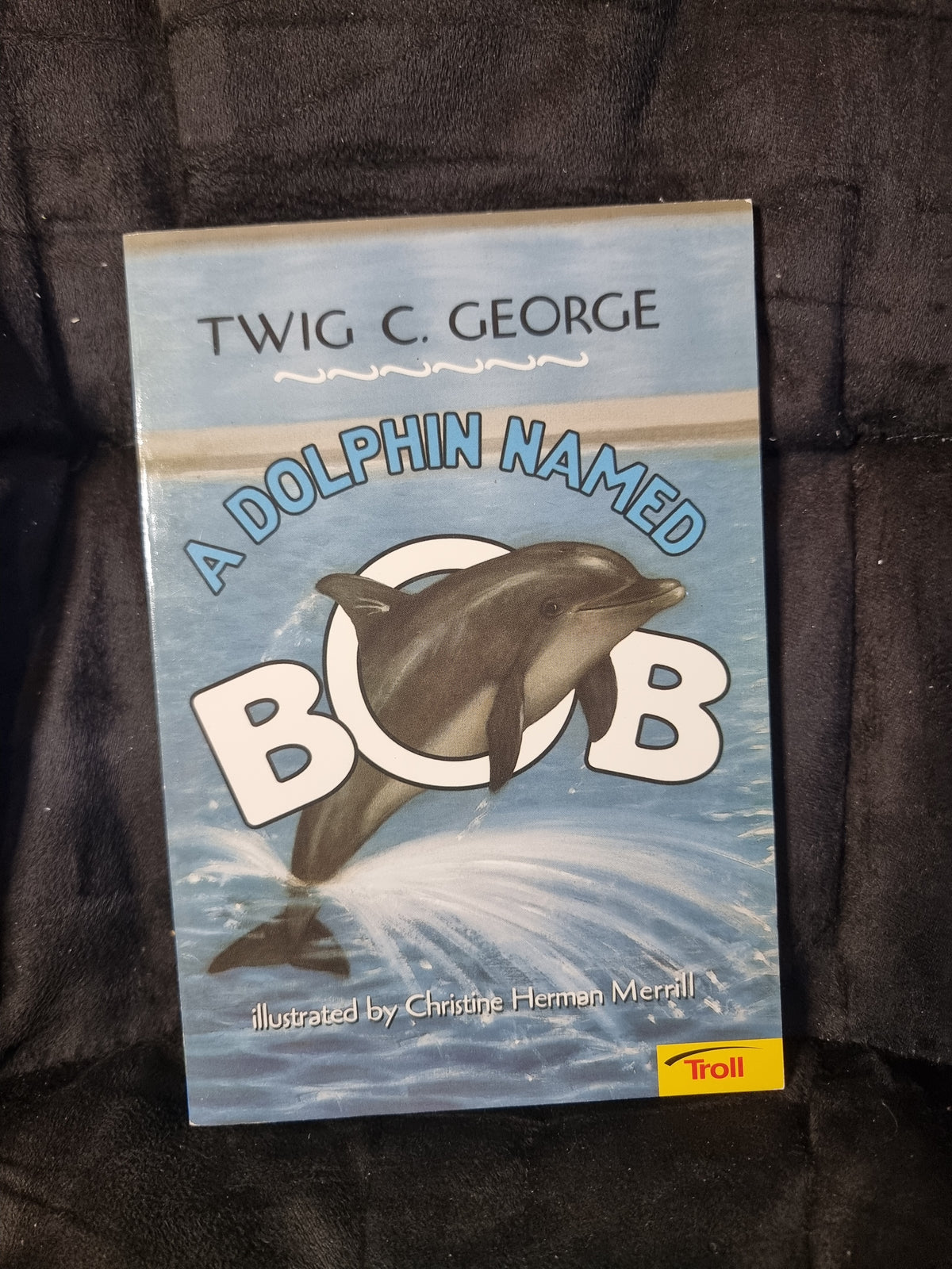 A Dolphin Named Bob