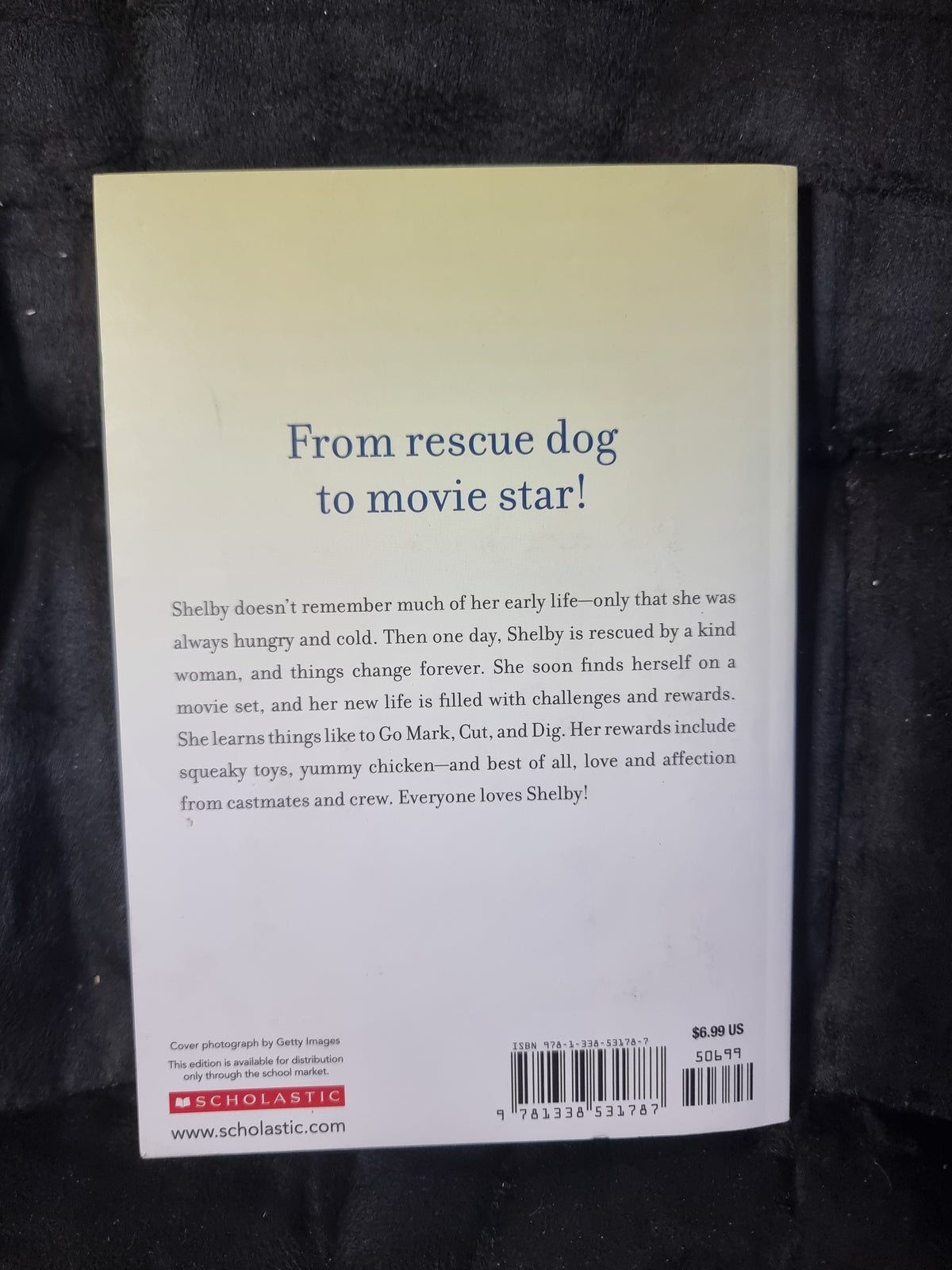 Shelby's Story