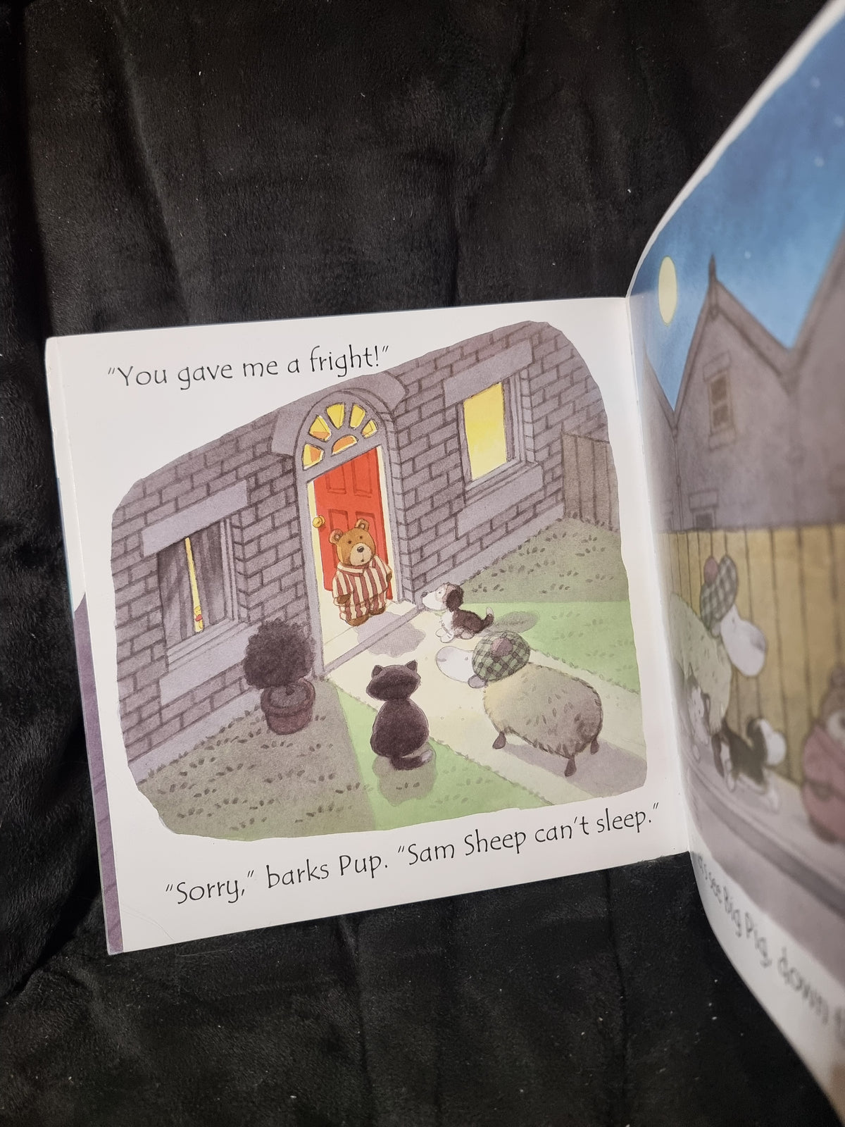 Usborne - Sam Sheep Can't Sleep