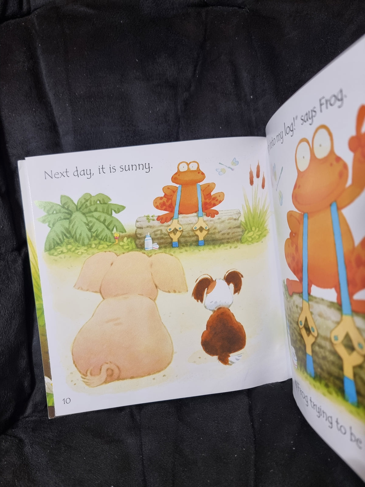 Usborne Phonics - Frog on a Log