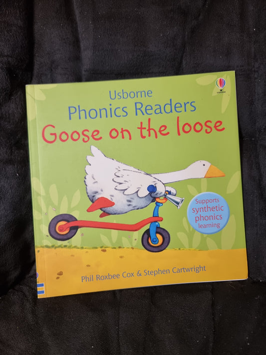 Usborne Phonics - Goose on the Loose