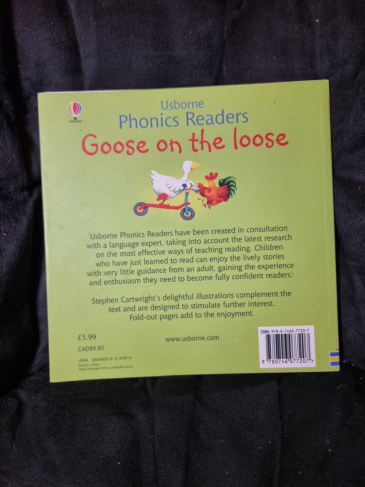 Usborne Phonics - Goose on the Loose
