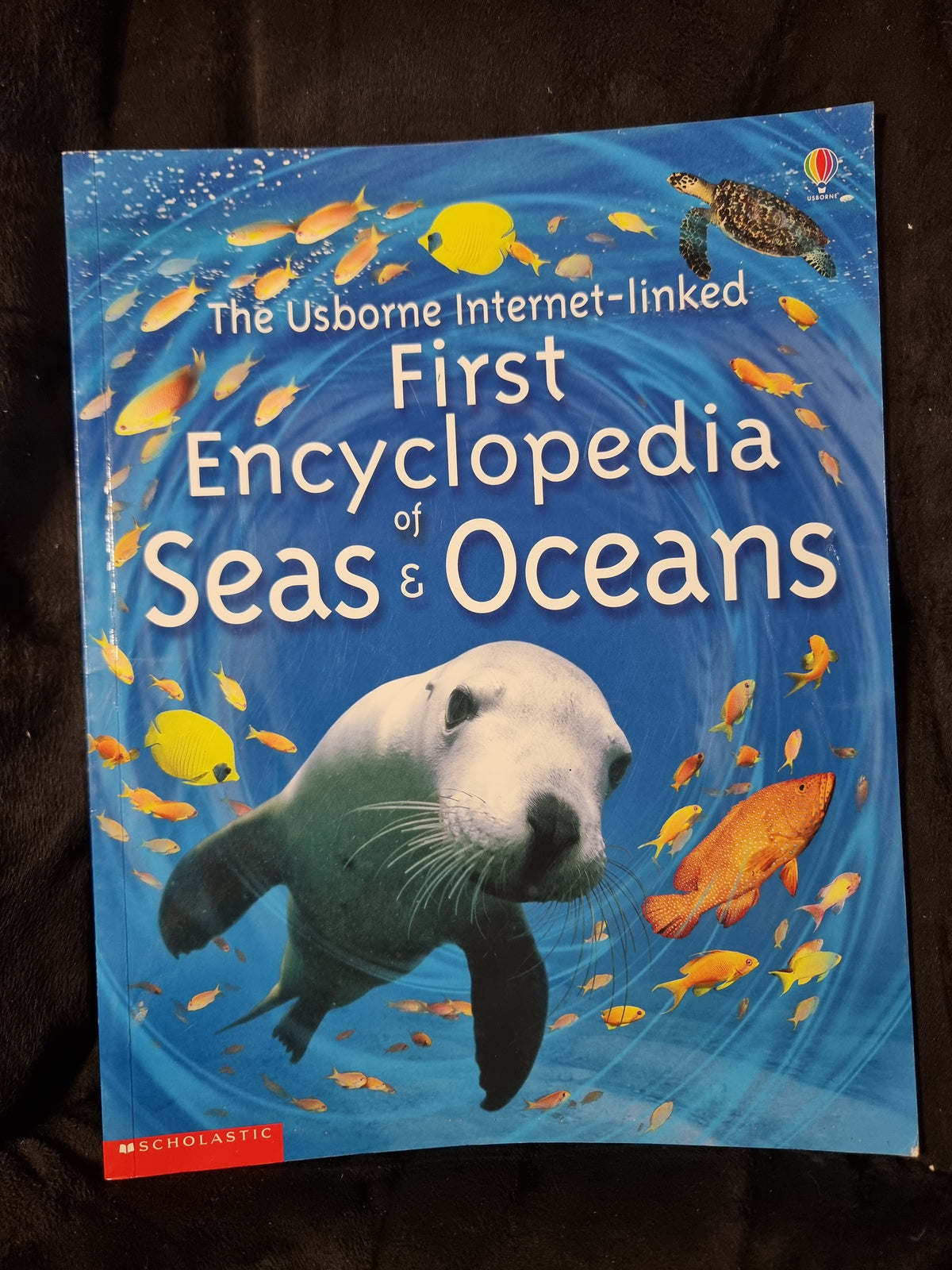 Usborne First Encyclopedia of Seas and Oceans
