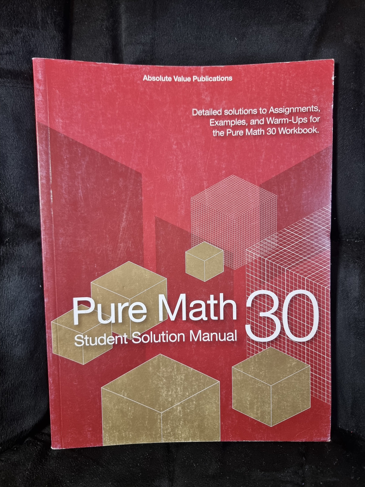 Pure Math 30 Student Solution Manual