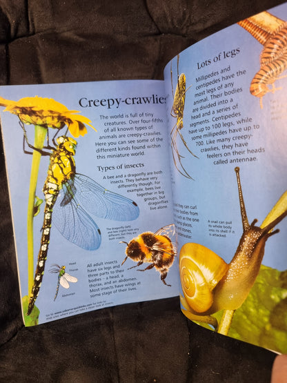 Usborne First Encyclopedia of Animals