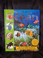 The Big and Busy Ocean