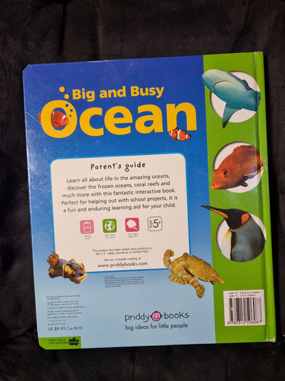 The Big and Busy Ocean