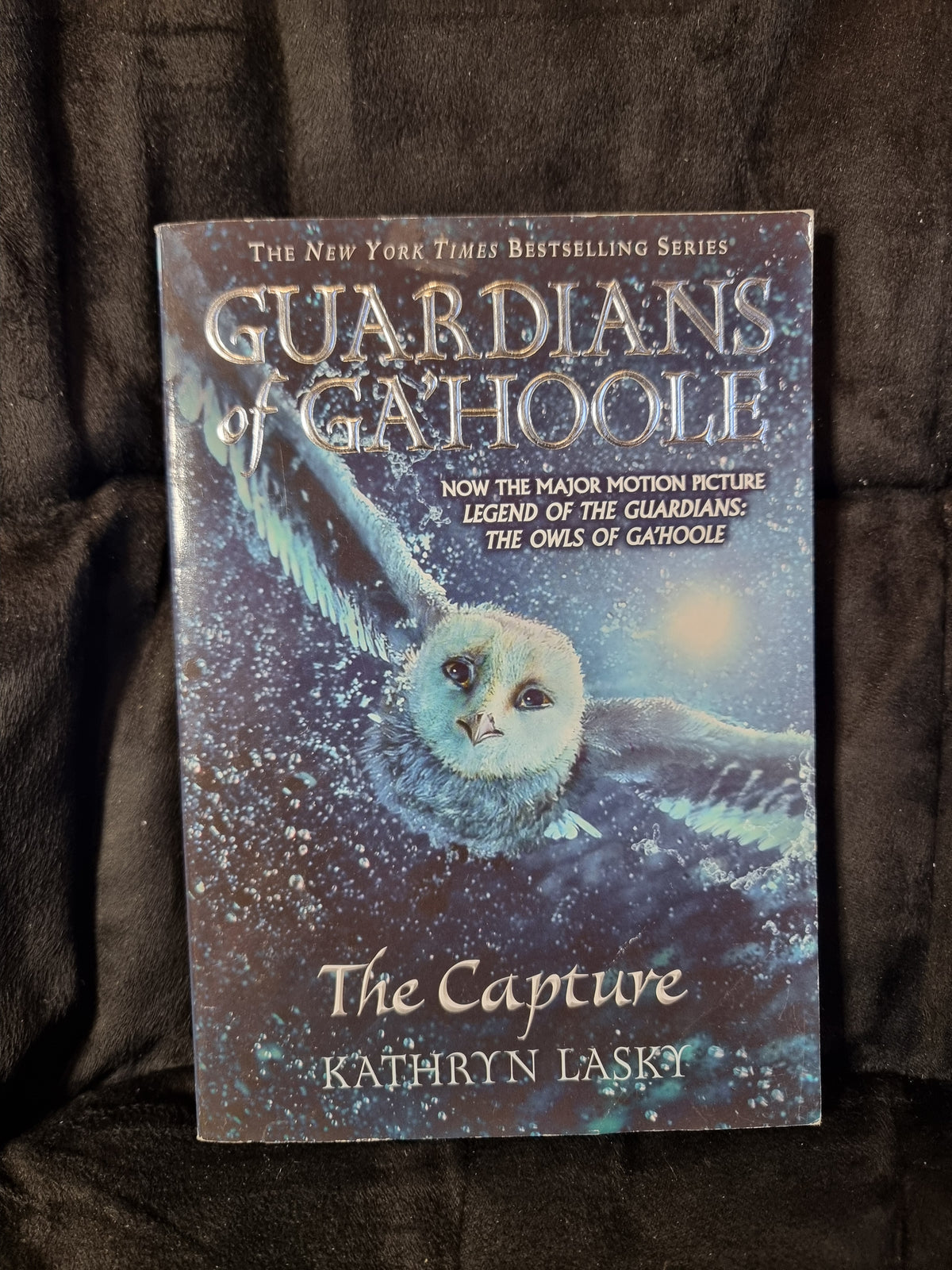 Guardians of Ga'hoole - The Capture