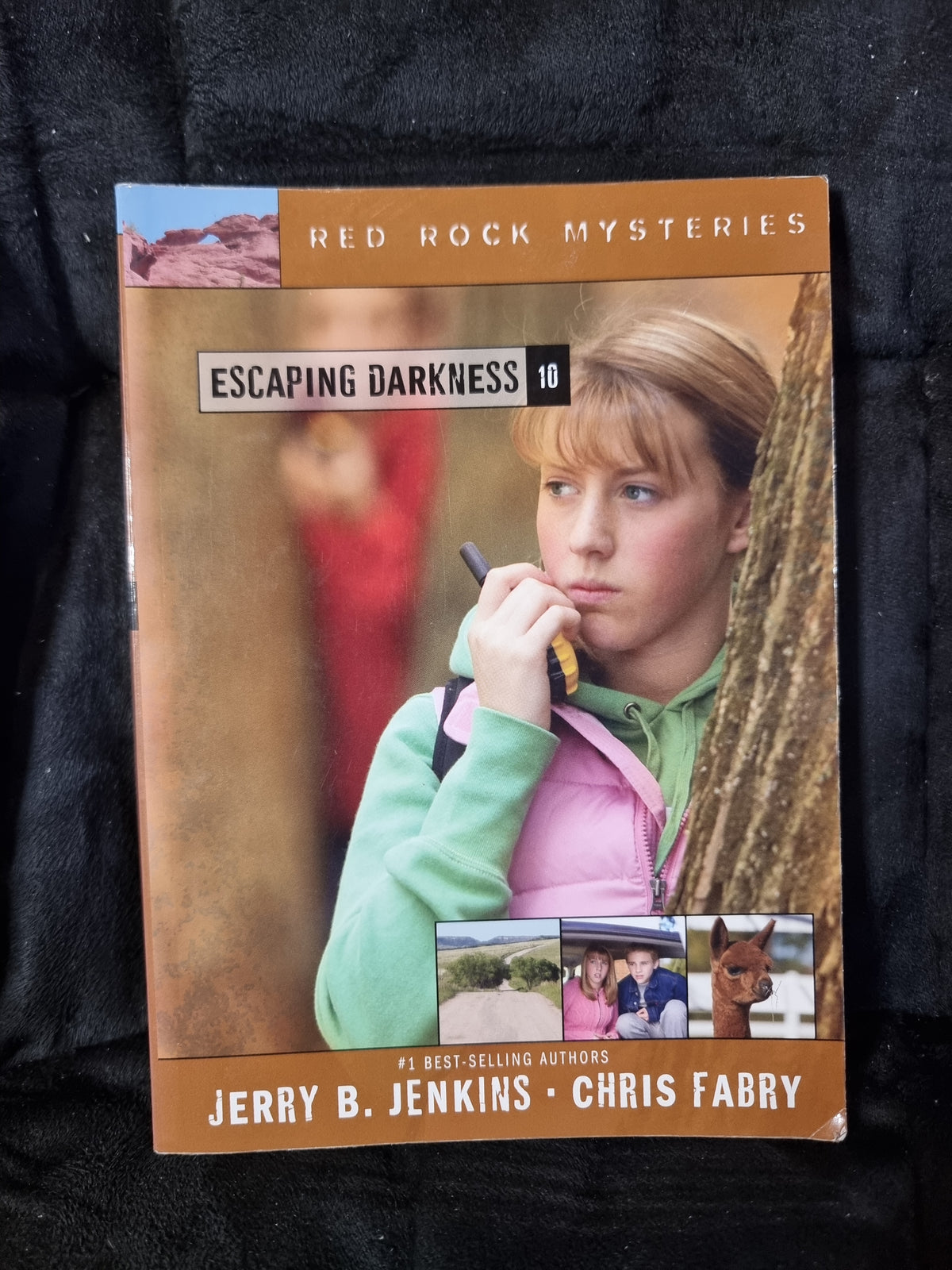 Red Rock Mysteries - Escaping Darkness