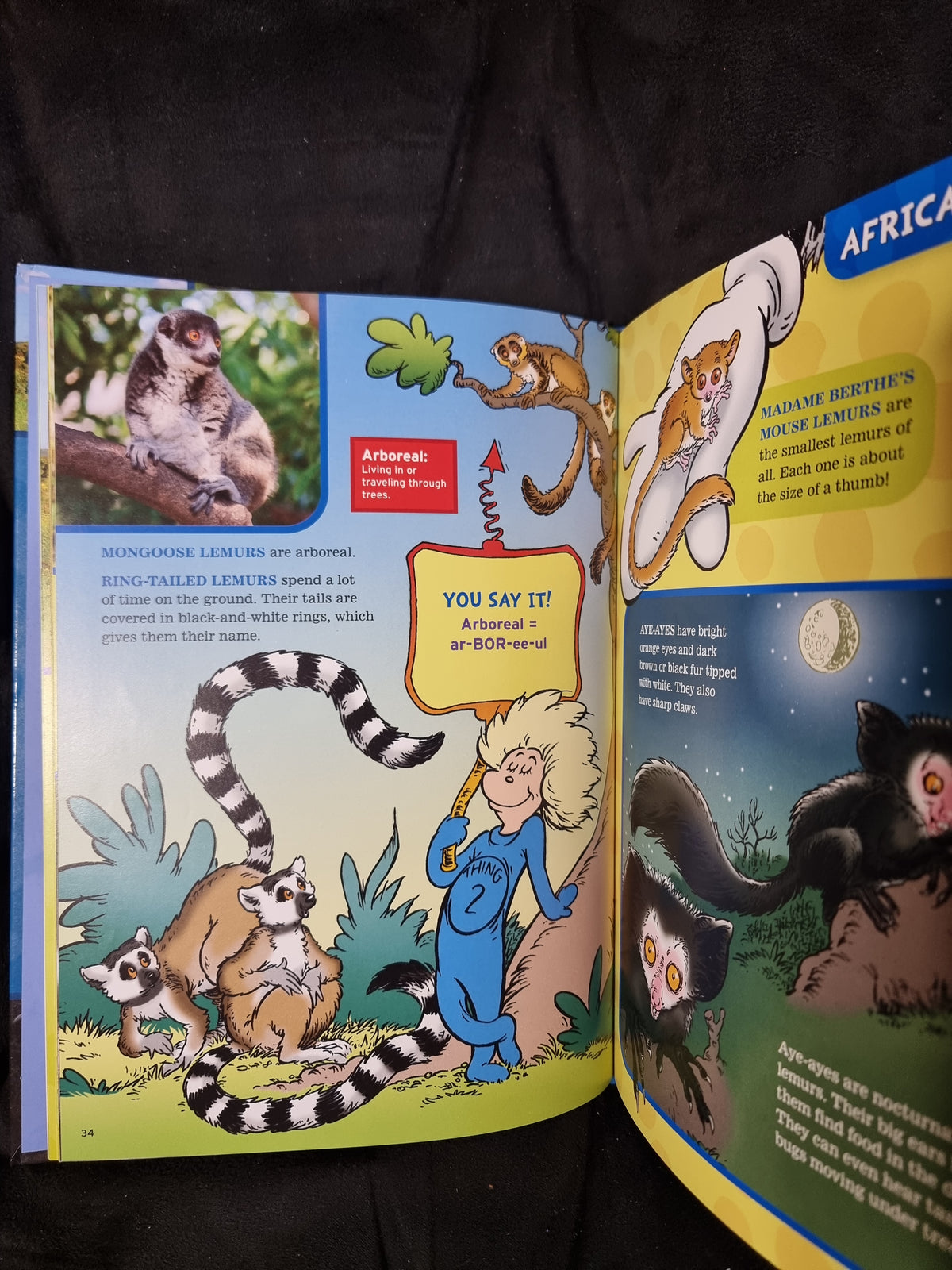 Super Dee Duper Book of Animal Facts