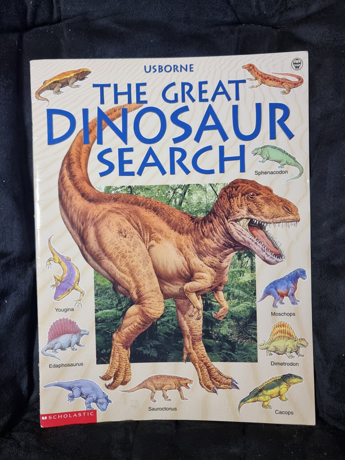 Usborne The Great Dinosaur Search