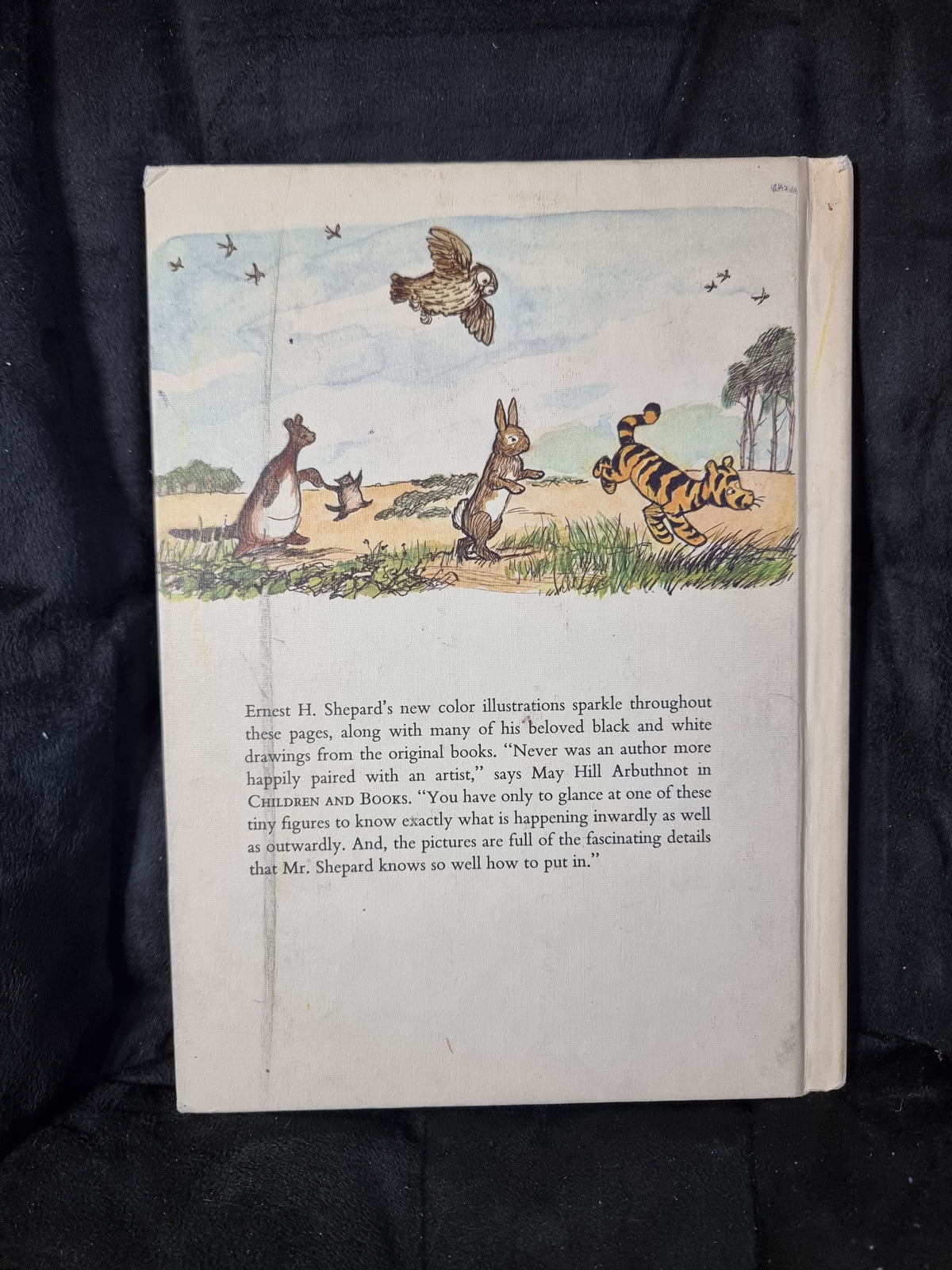 The Pooh Story Book
