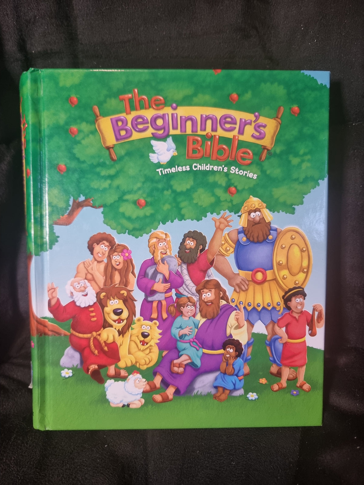 The Beginner's Bible