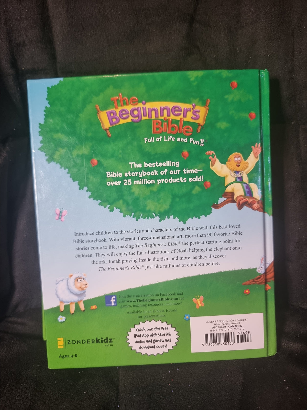 The Beginner's Bible