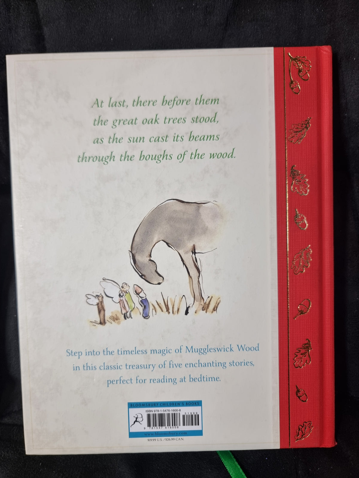 Tales From Muggleswick Wood