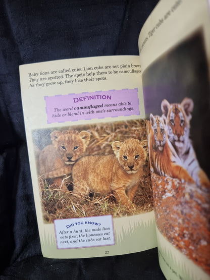 Who Would Win - Lion vs. Tiger