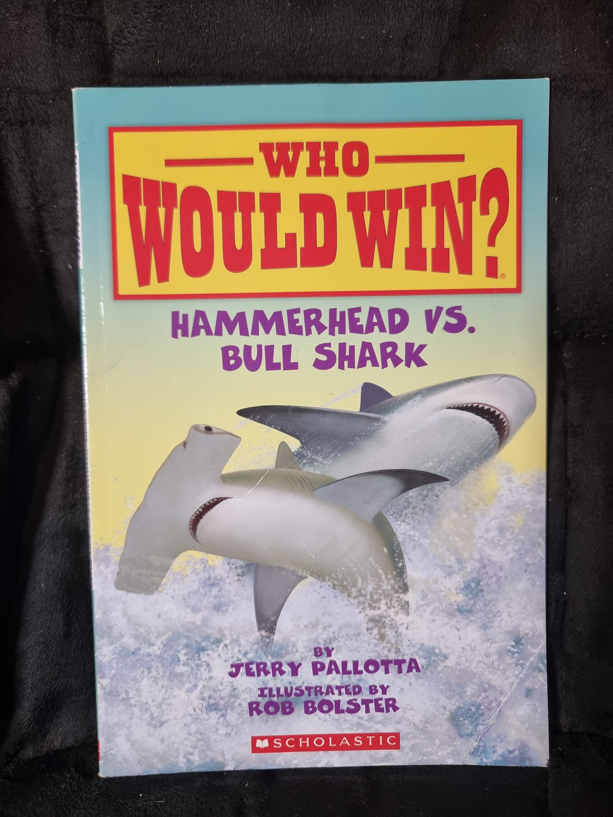 Who Would Win? Hammerhead vs. Bull Shark