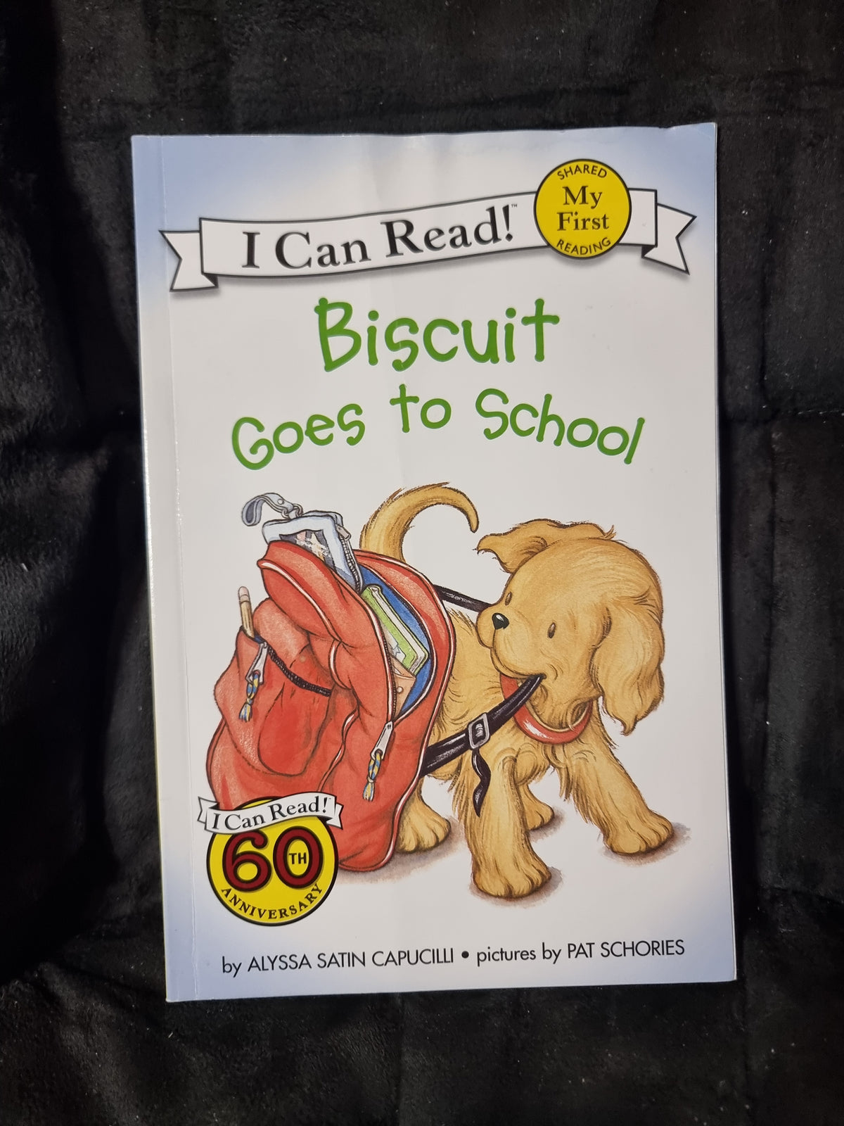 Biscuit Goes to School