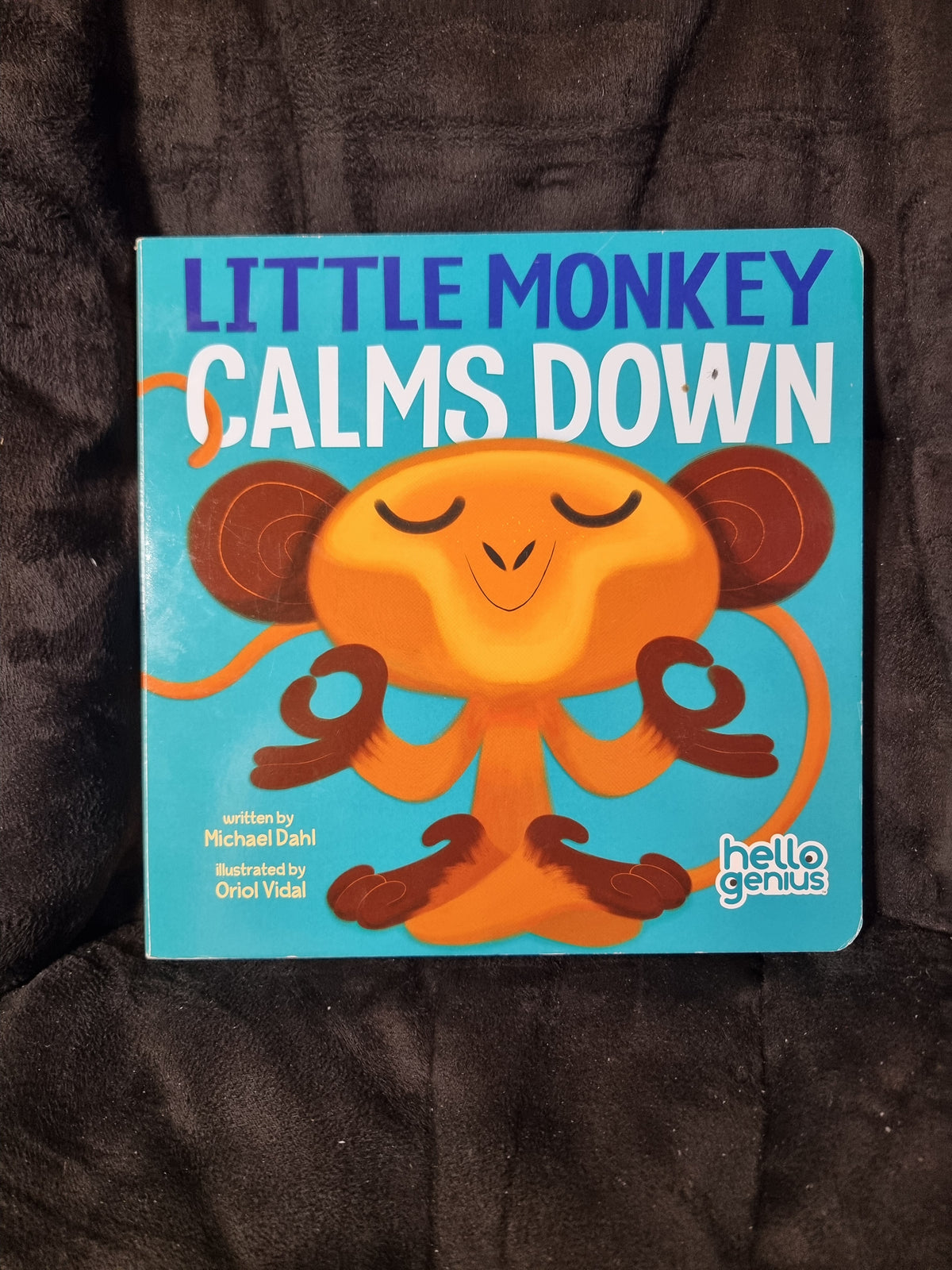 Little Monkey Calms Down