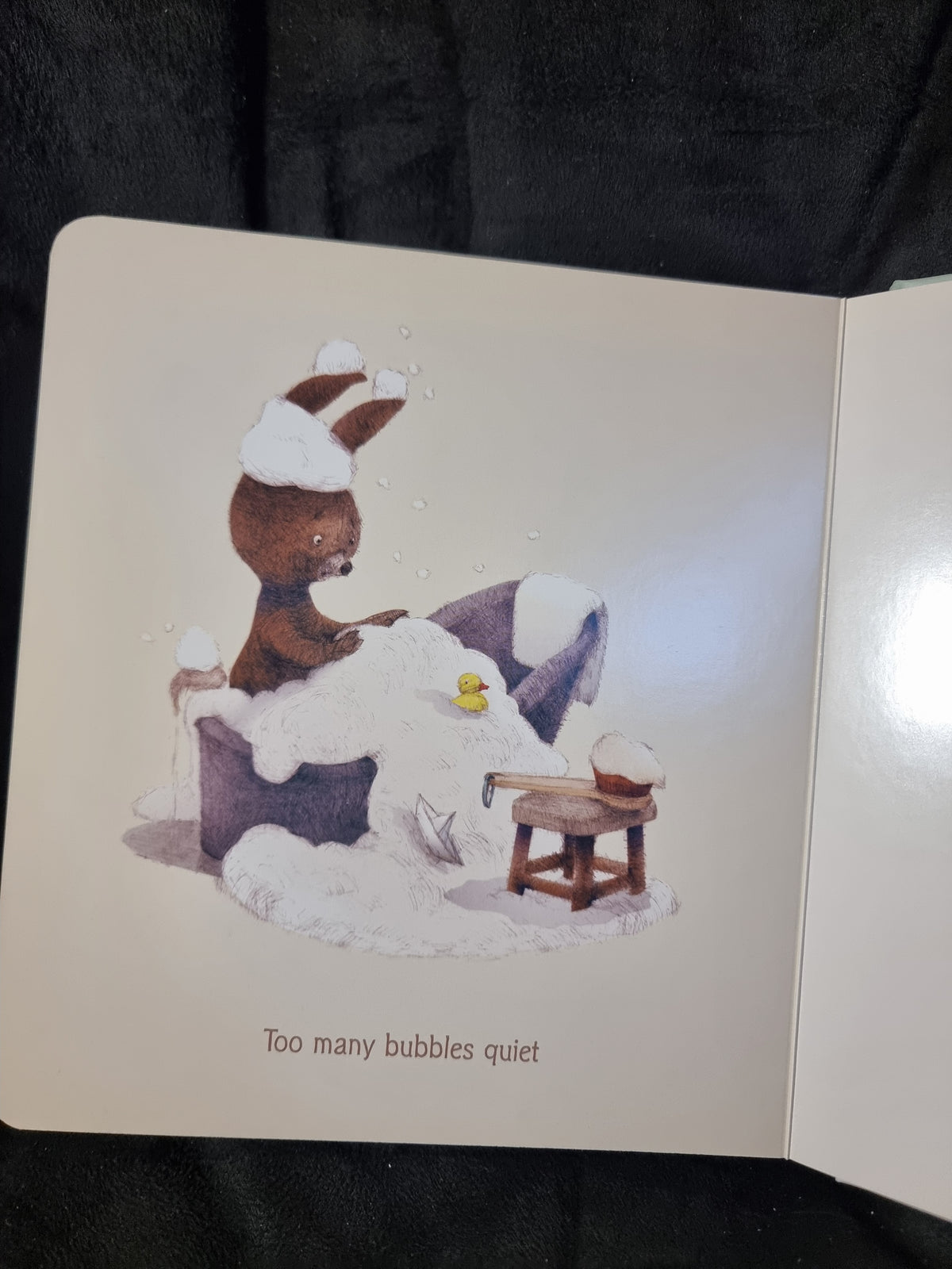 The Quiet Book