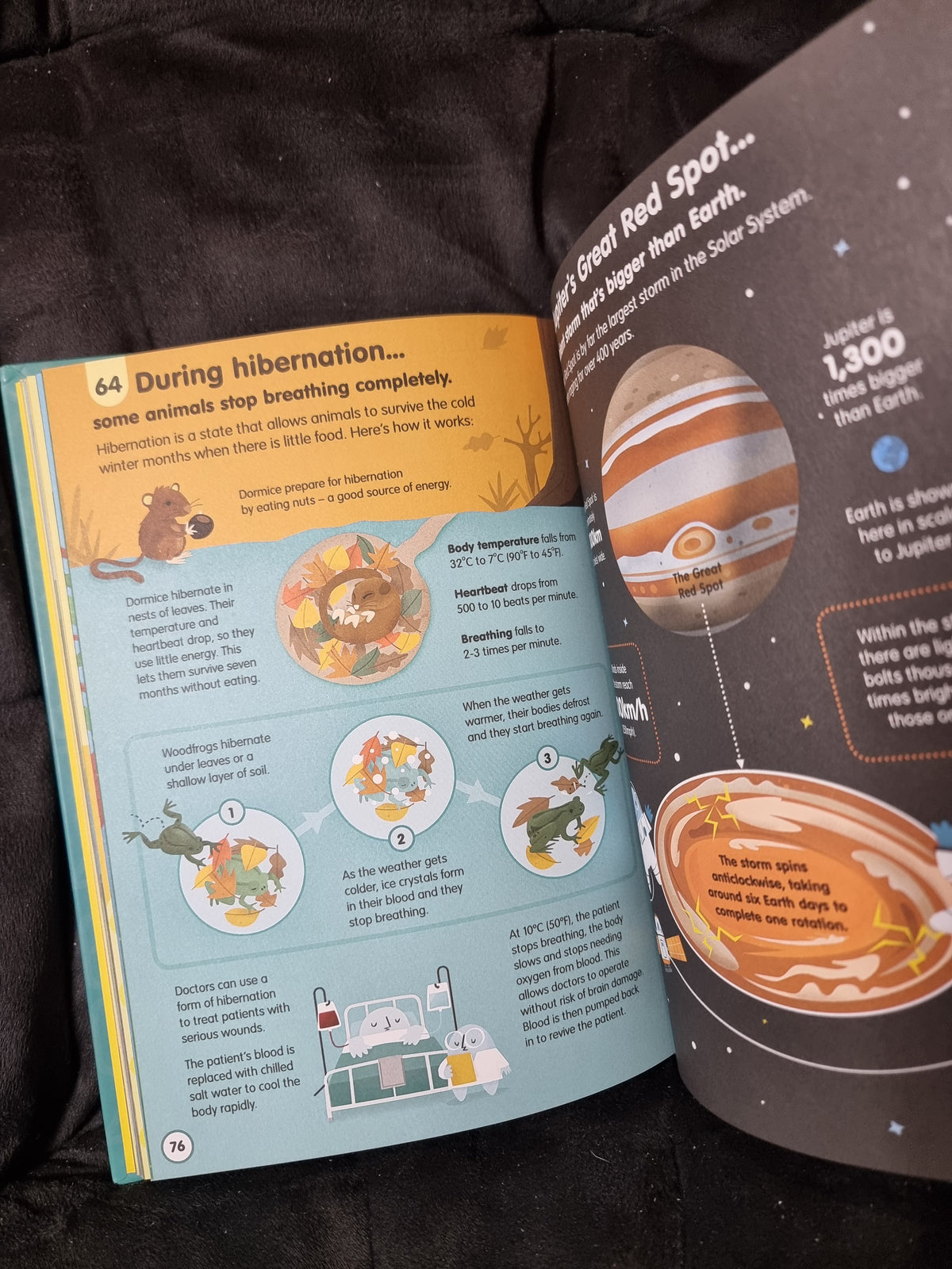 Usborne 100 Things to Know ABout Science