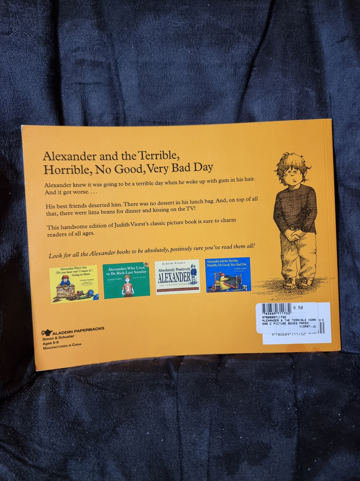Alexander and the Terrible, Horrible, No Good, Very Bad Day