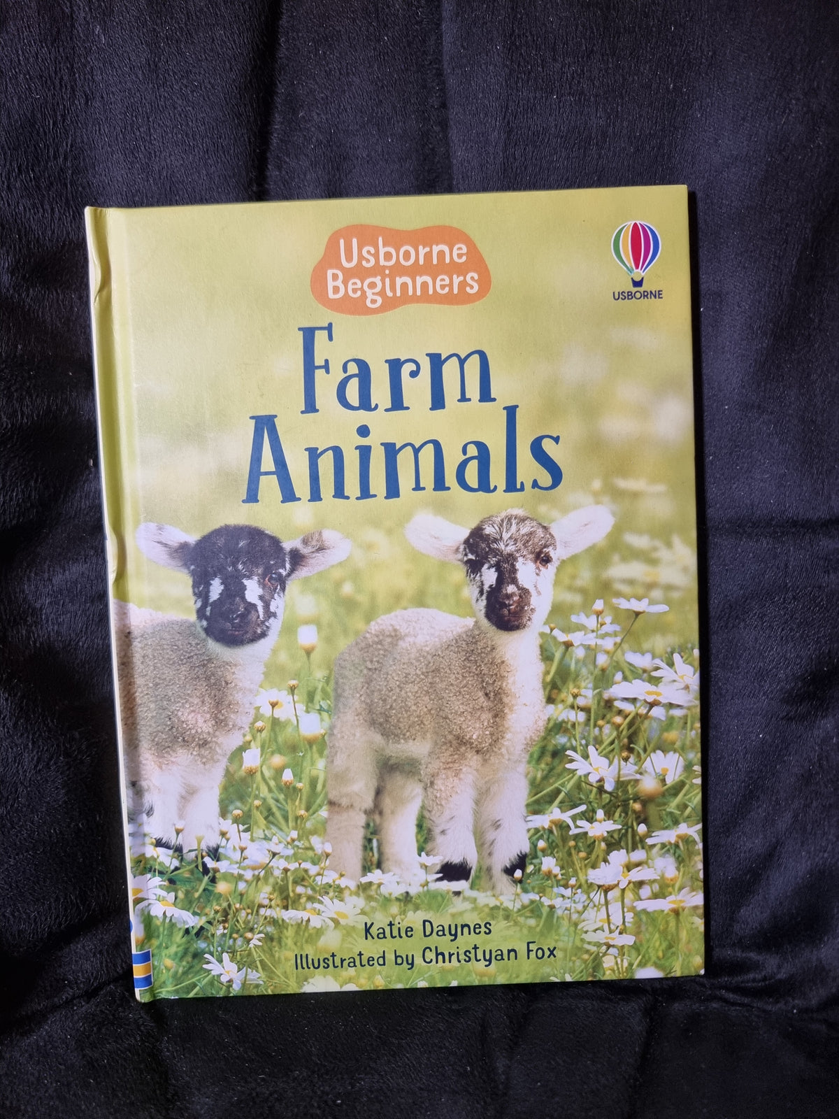 Usborne Beginners Farm Animals