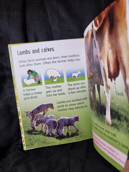 Usborne Beginners Farm Animals