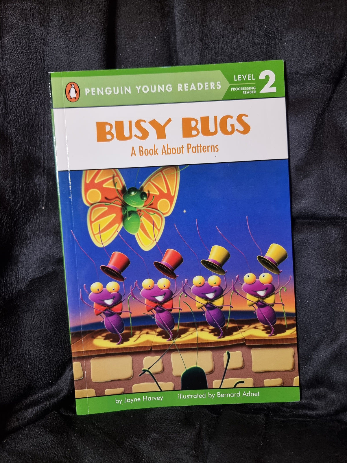 Busy Bugs A Book About Patterns