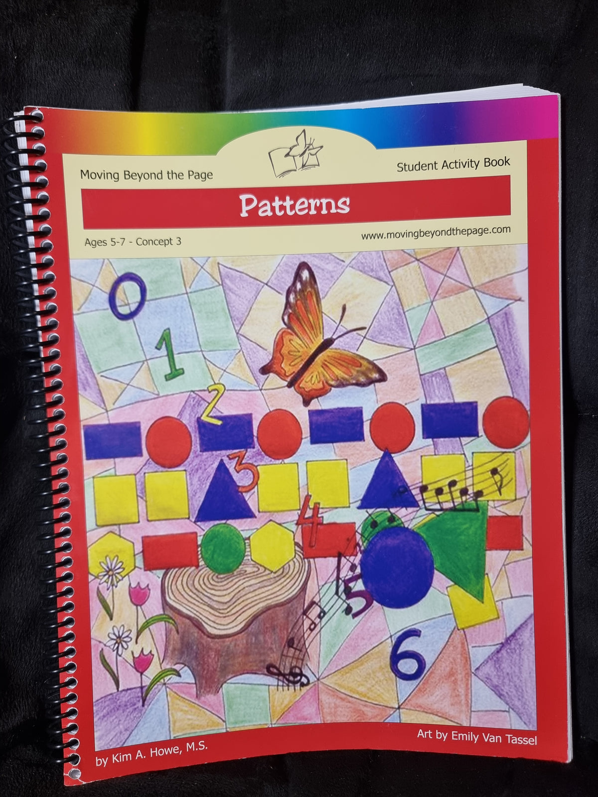Moving Beyond the Page - Patterns Student Activity Book