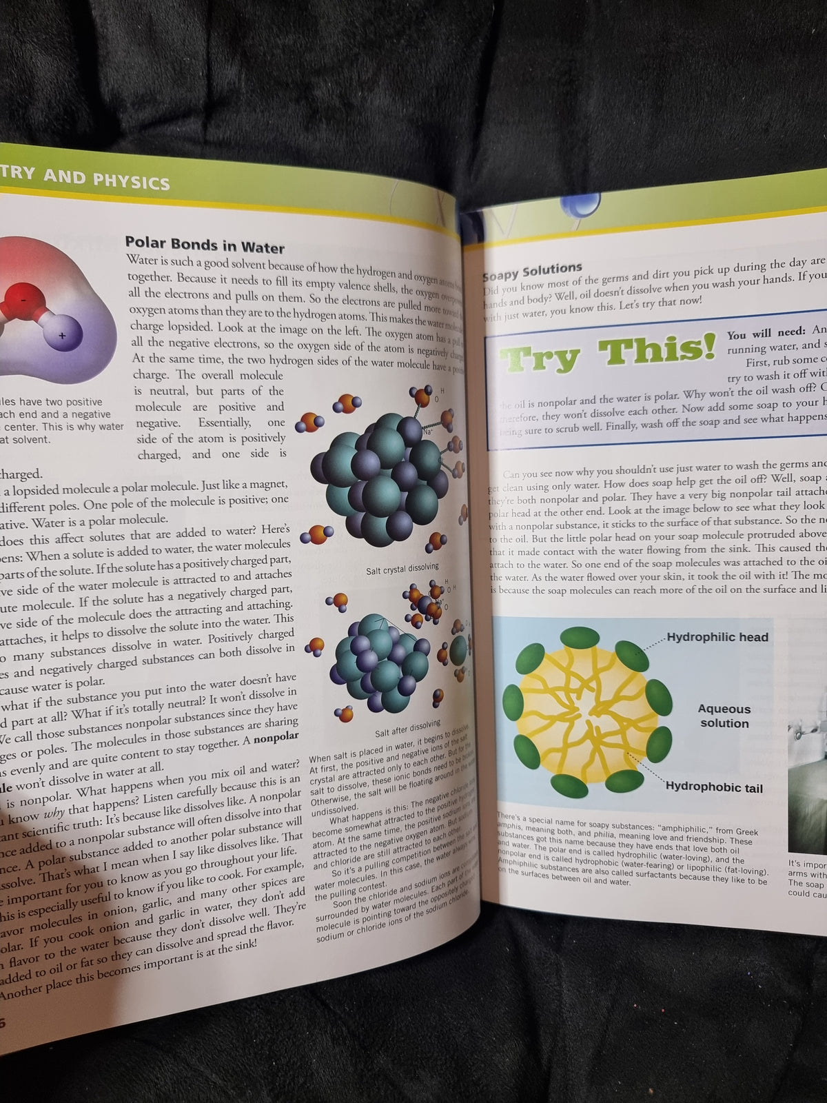 Apologia Young Explorers Series Exploring Creation with Chemistry and Physics
