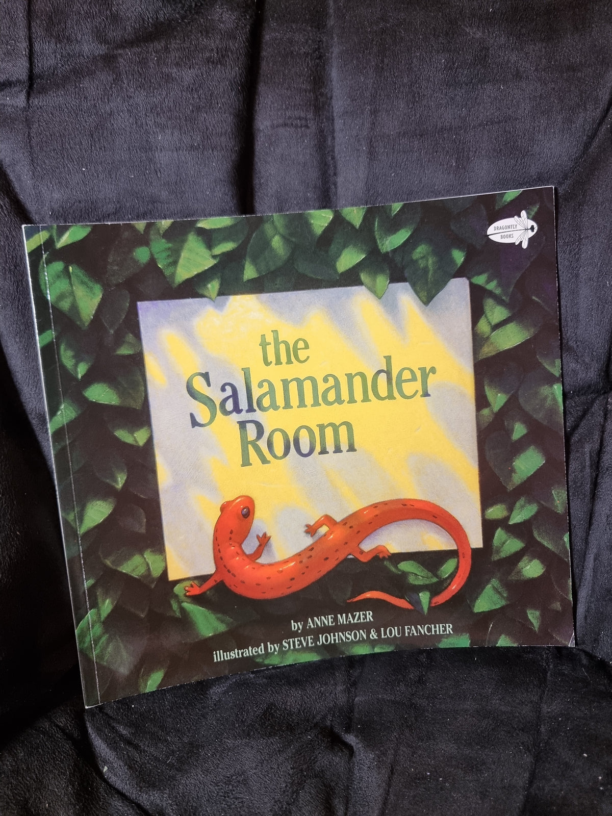 The Salamander Room