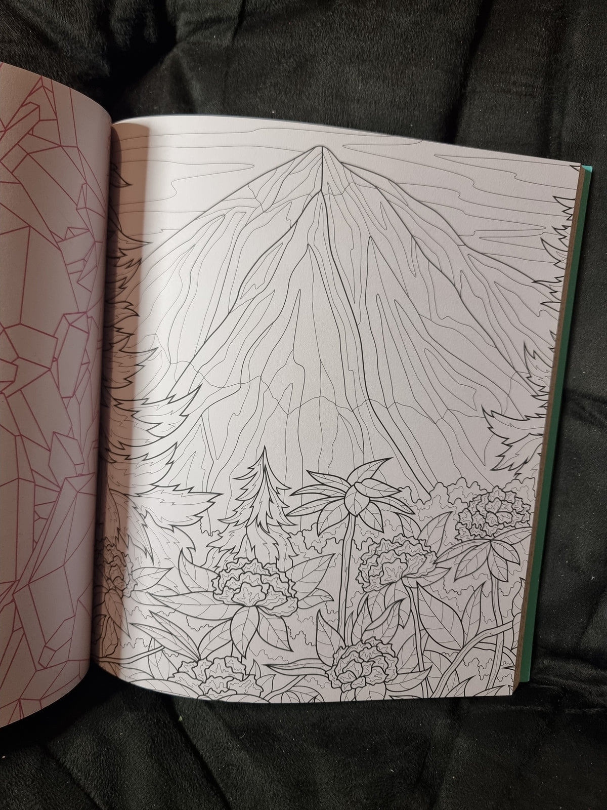 Nature's Remedy Colouring Book