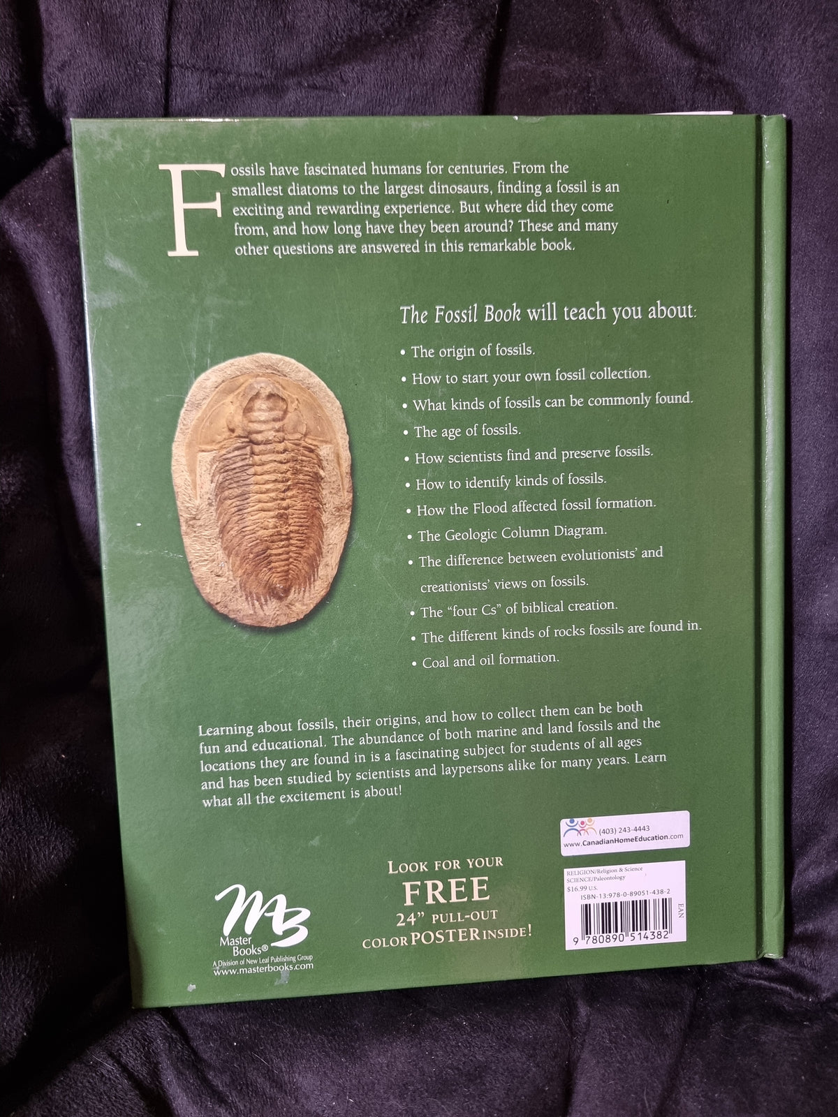 Wonders of Creation The Fossil