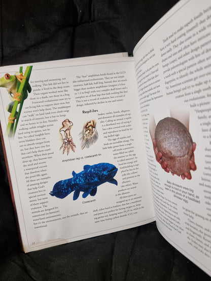 Wonders of Creation The Fossil