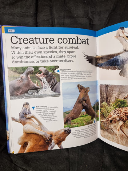 DK It Can't Be True Animals