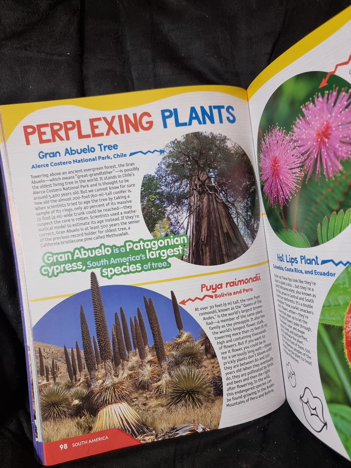 National Geographic Kids Weird But True 2025