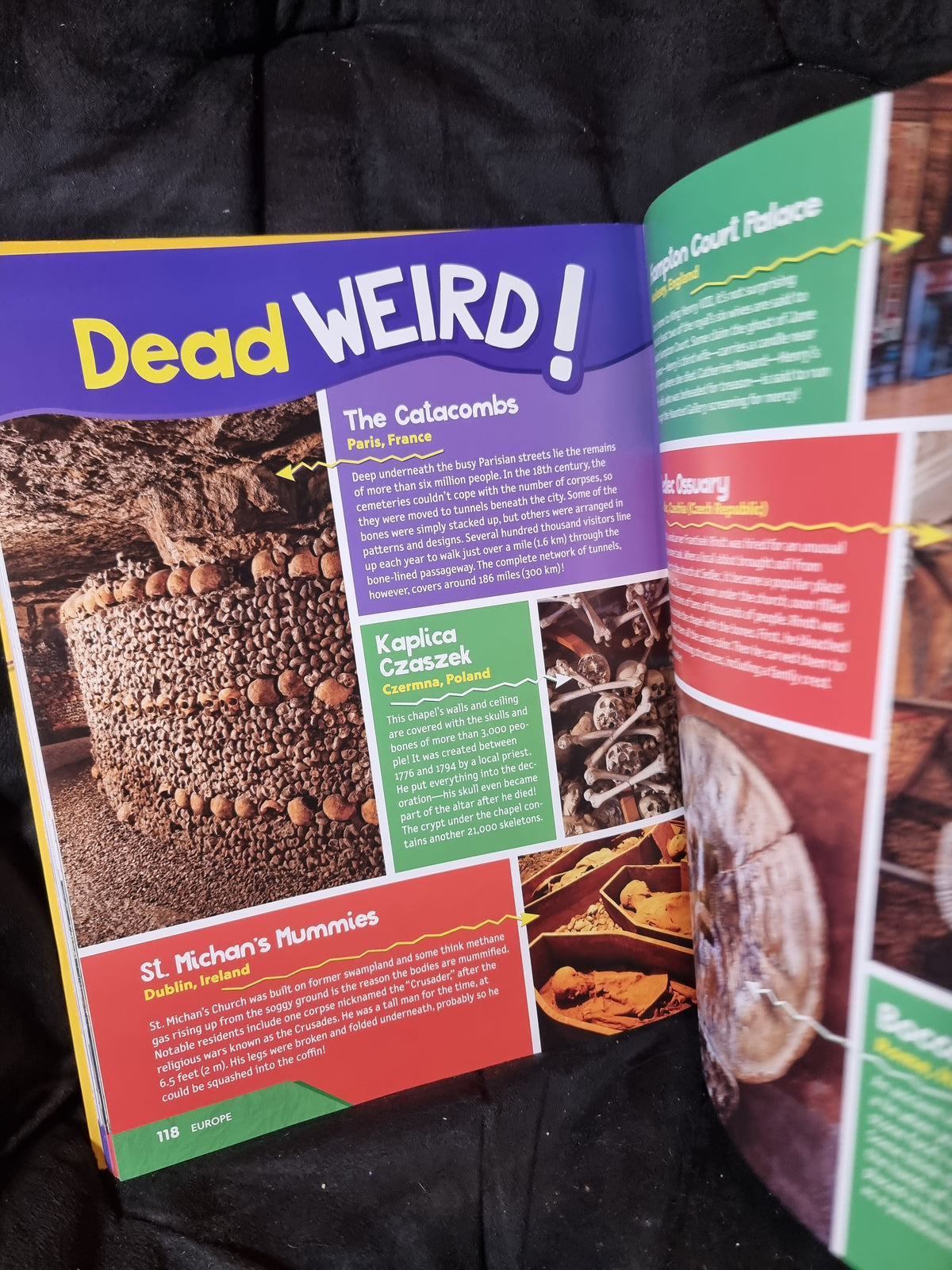 National Geographic Kids Weird But True World 2024