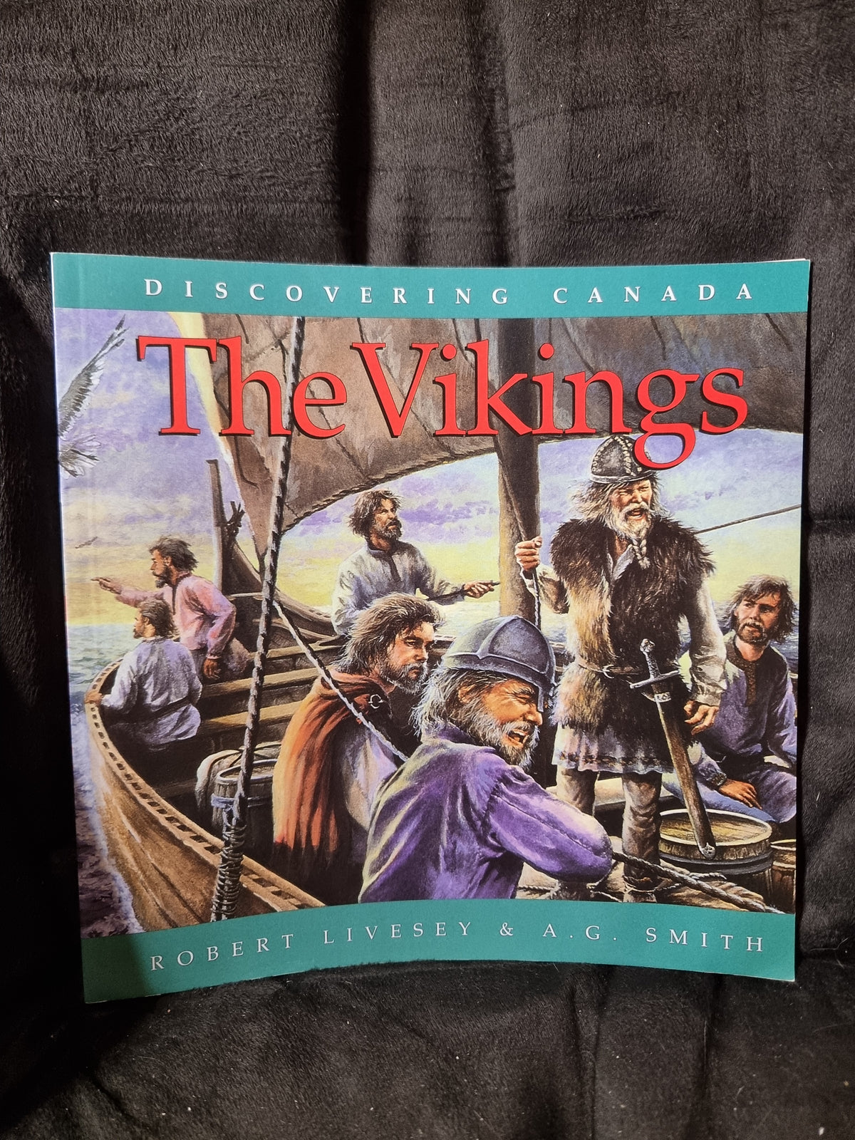 Discovering Canada - The Vikings