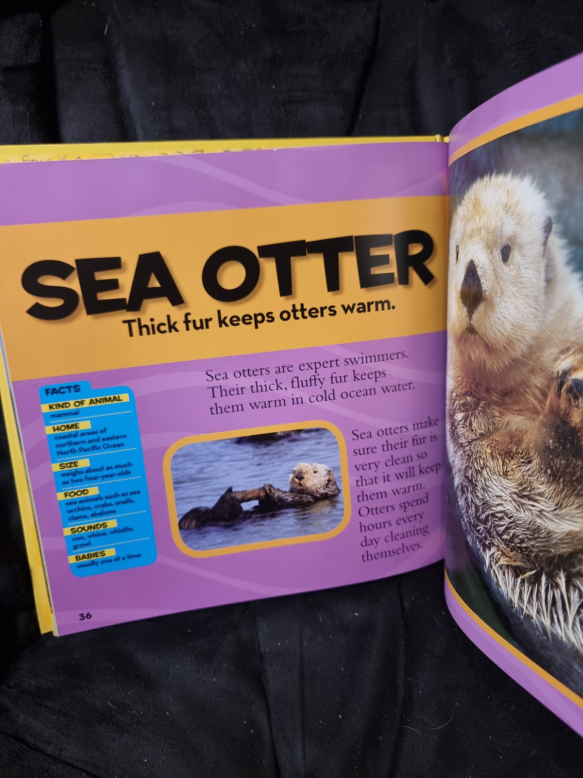 National Geographic Kids - First Big Book of Animals