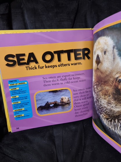 National Geographic Kids - First Big Book of Animals