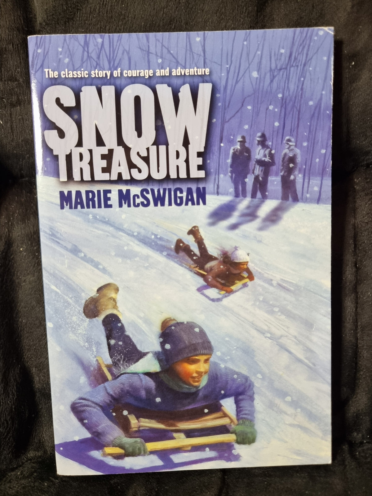 Snow Treasure