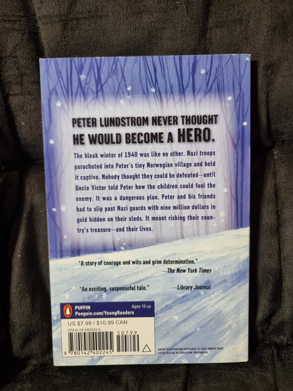Snow Treasure