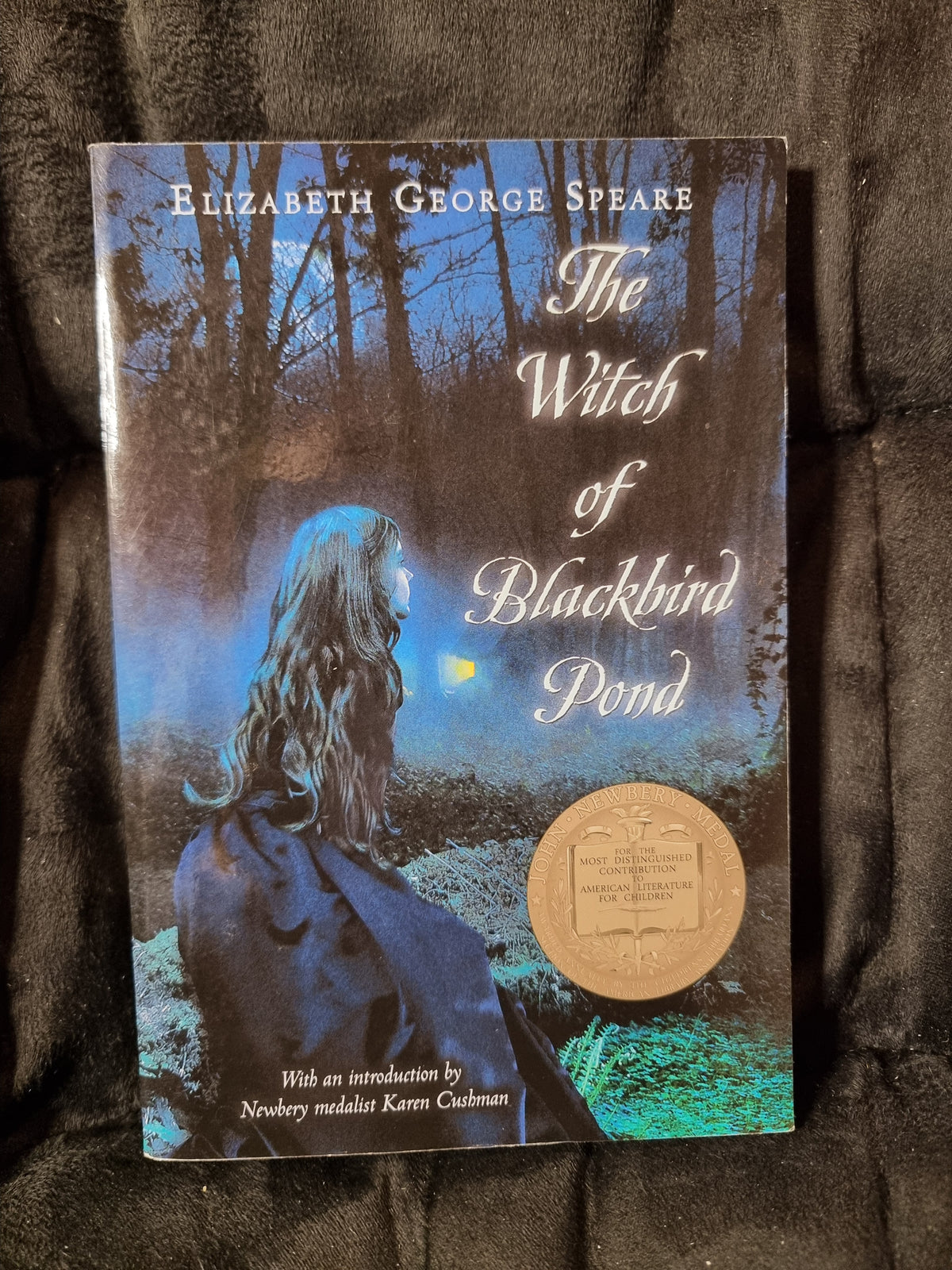 The Witch of Black Bird Pond
