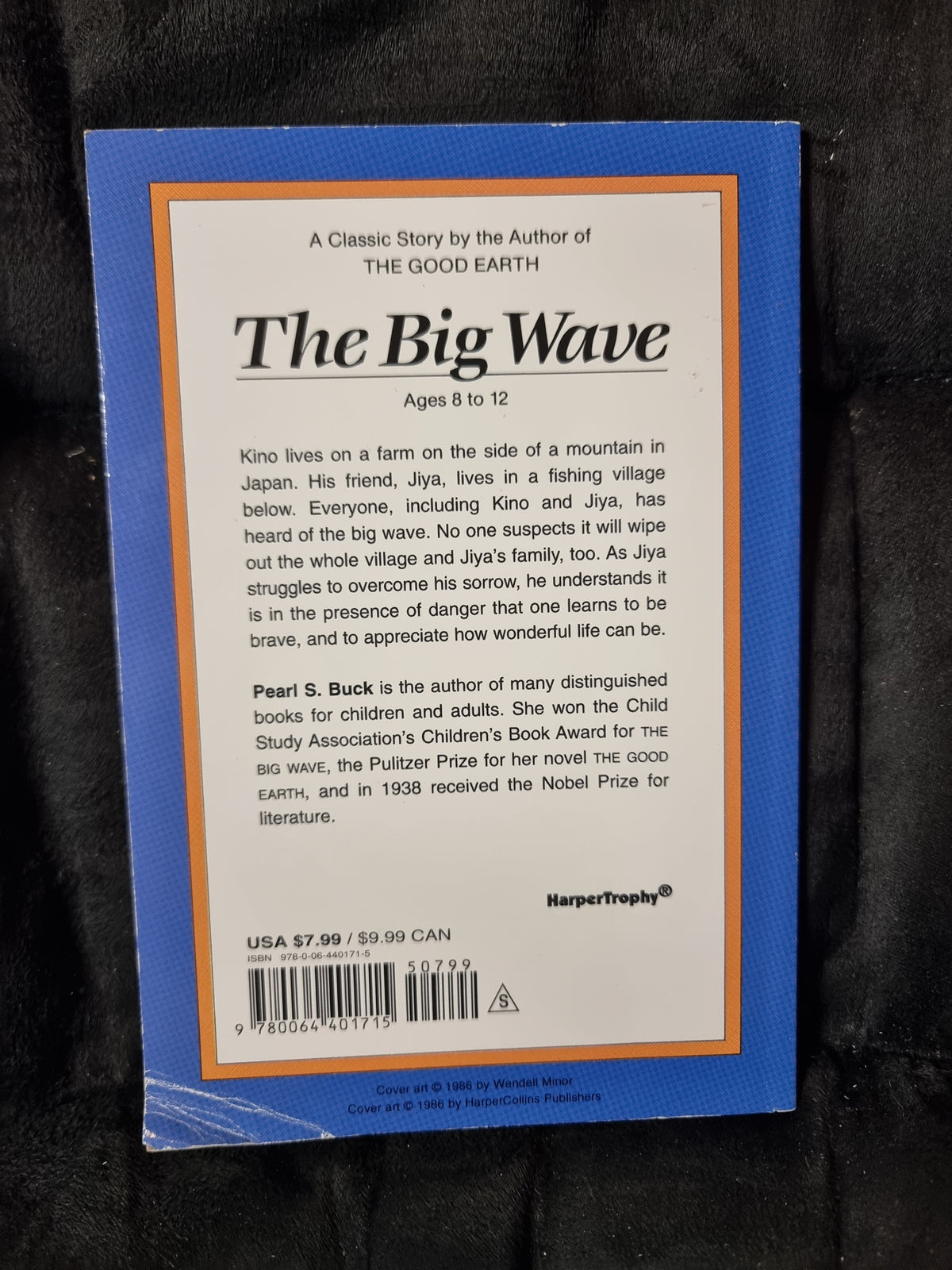 The Big Wave