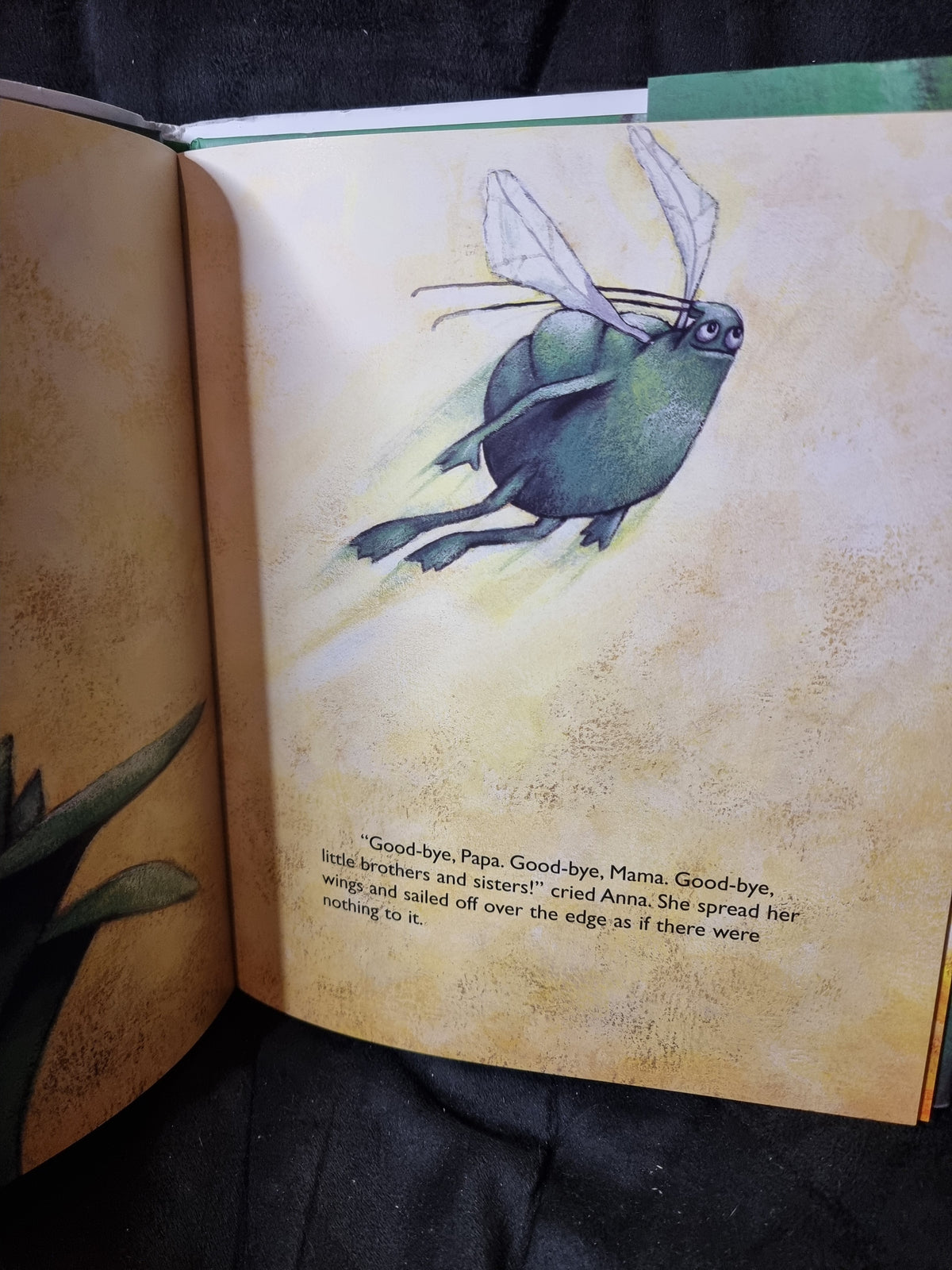 Anna Aphid