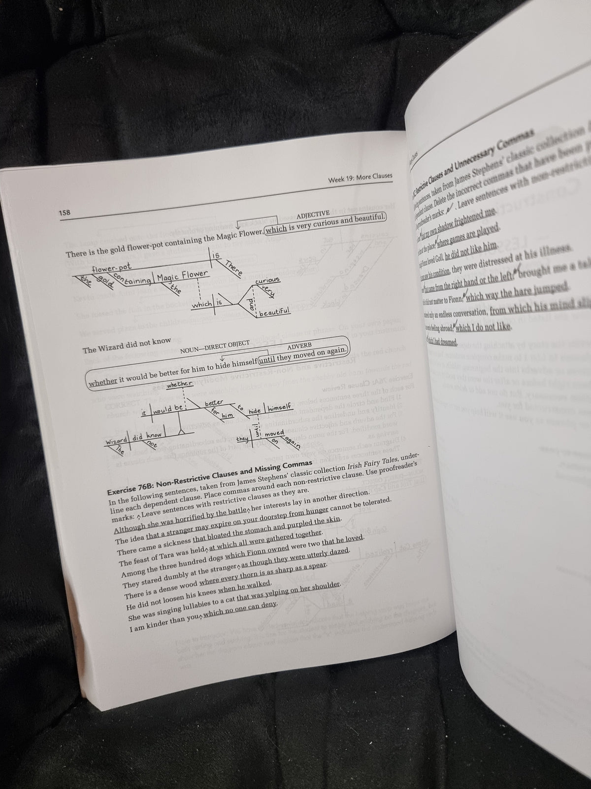 Grammar For The Well Trained Mind Student Workbook 1 Key