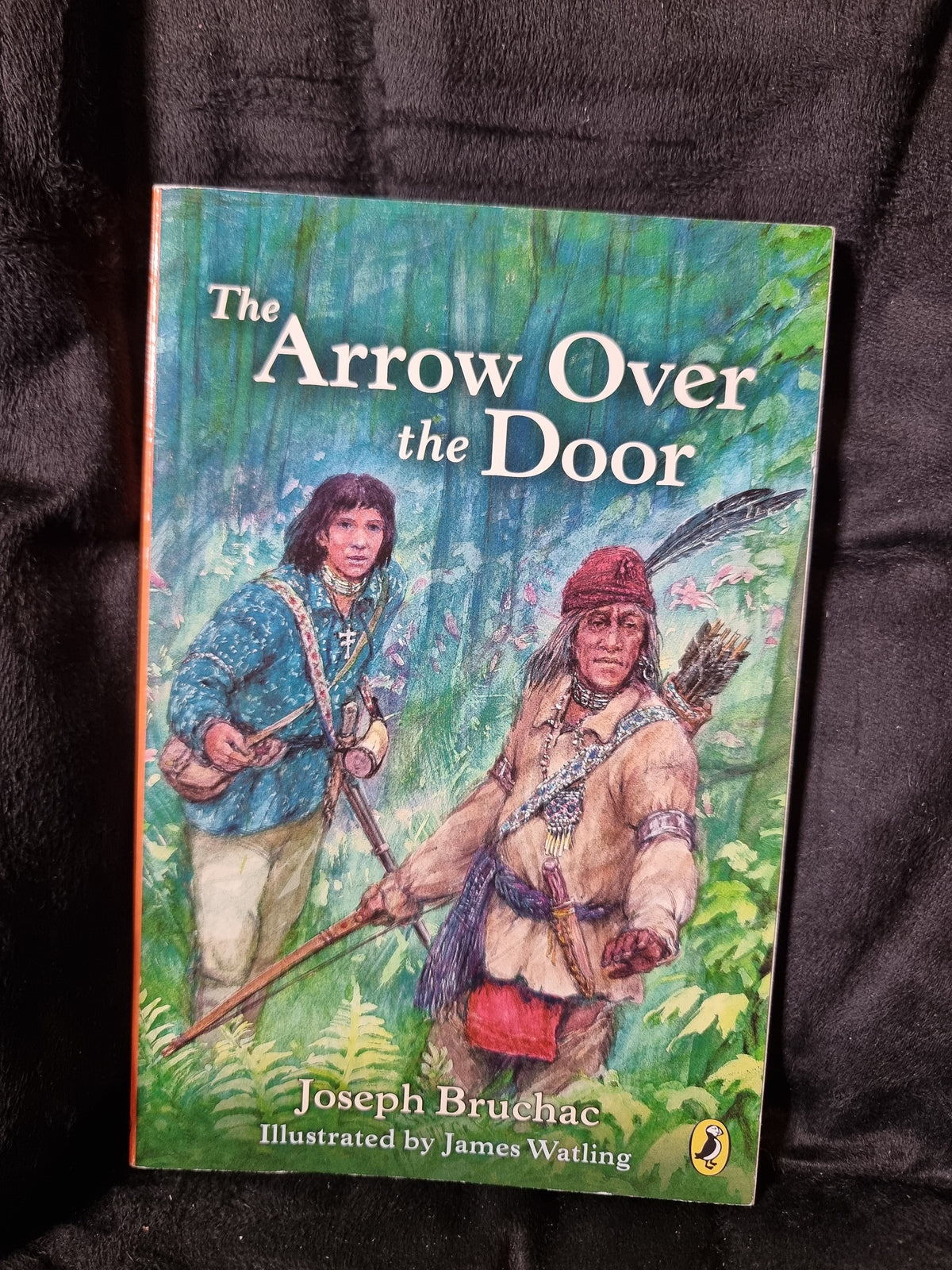 Arrow Over the Door