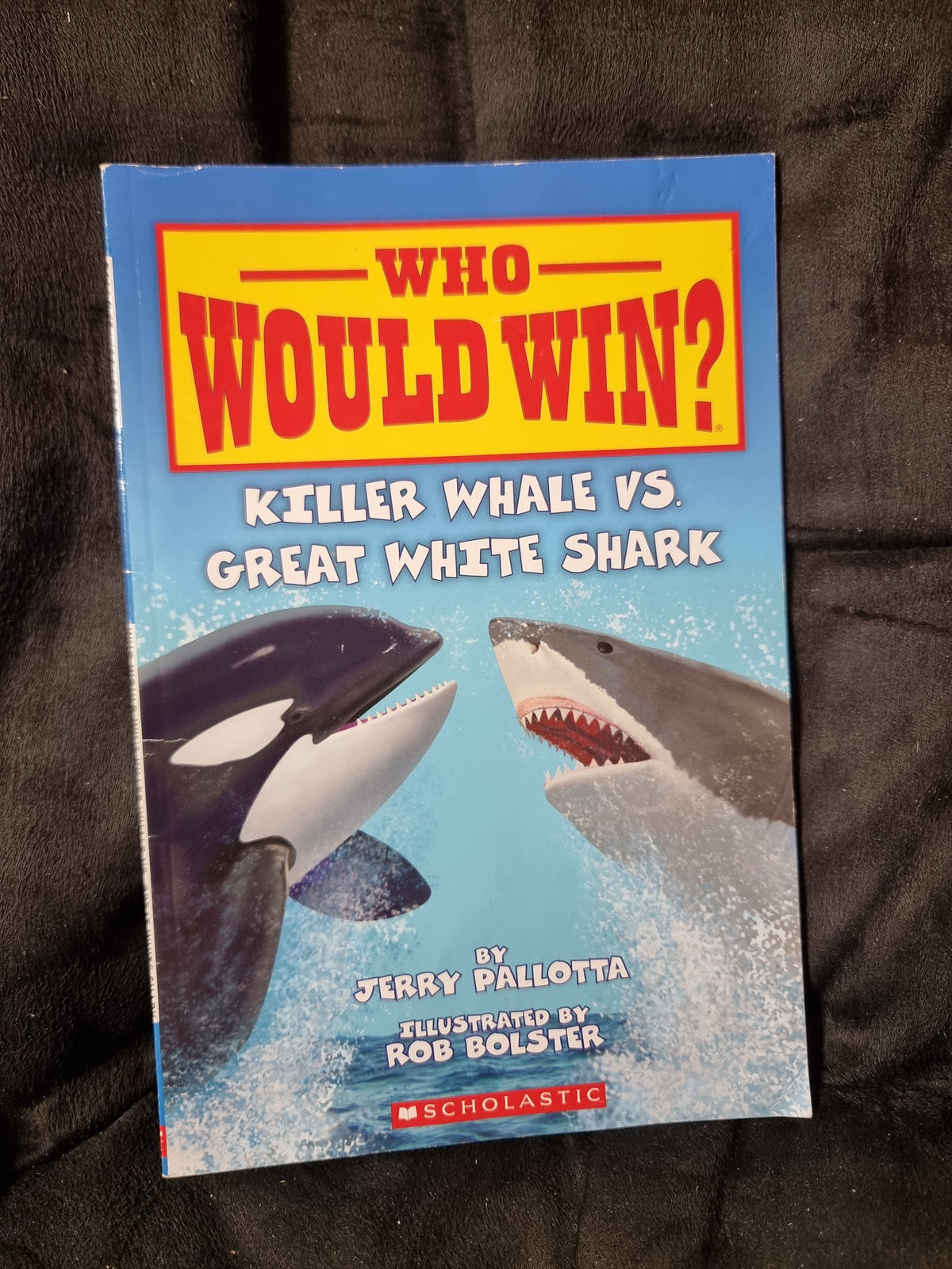 Who Would Win? Killer Whale vs. Great White Shark